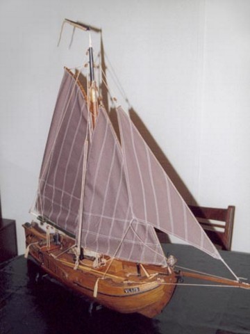 Botter model